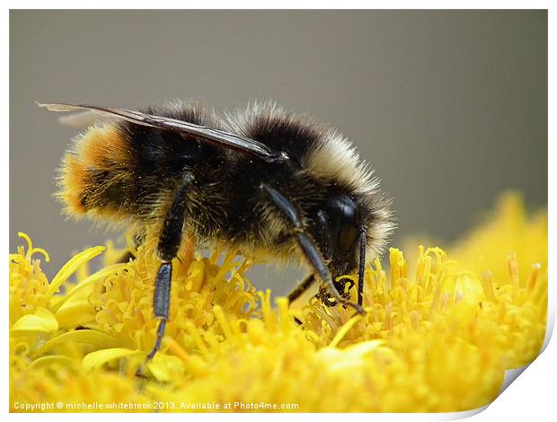 Bumble friends Print by michelle whitebrook