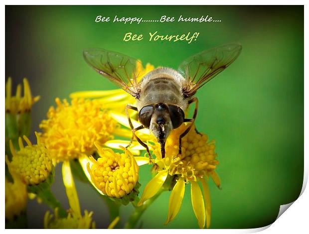  Honey bee Print by michelle whitebrook