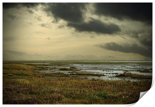 Holy Island, Lindisfarne Northumberland Print by Jacqui Farrell