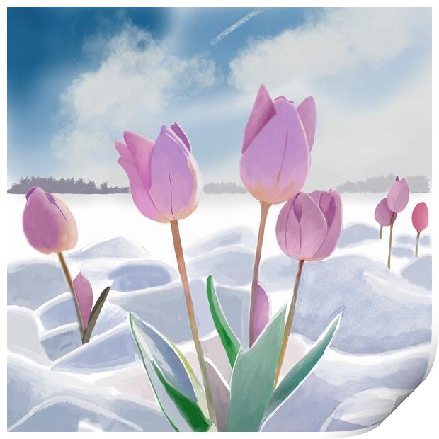 Tulips in the Snow  Print by Jacqui Farrell