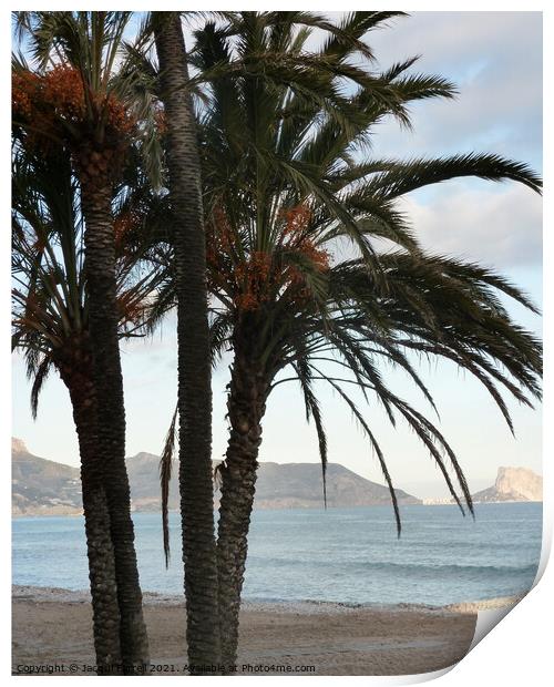 Palm Trees  Print by Jacqui Farrell