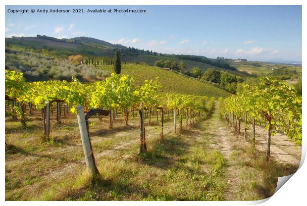 Tuscan Vineyard Print by Andy Anderson