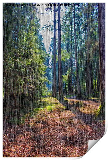 Rain in the Forest Print by Andy Anderson