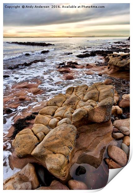 East Fife Rocky Coast Print by Andy Anderson
