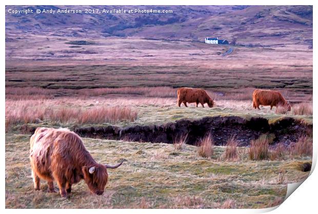 Scottish Highland Cattle Print by Andy Anderson