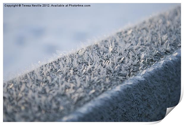 Ice crystals on fence Print by Teresa Neville