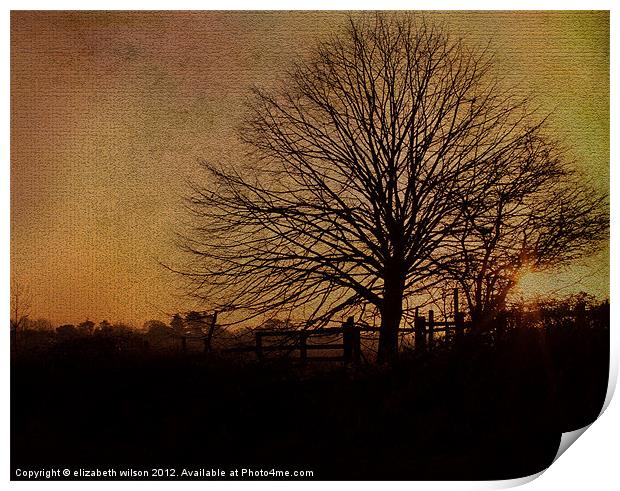Textured Tree with Sunset Print by Elizabeth Wilson-Stephen
