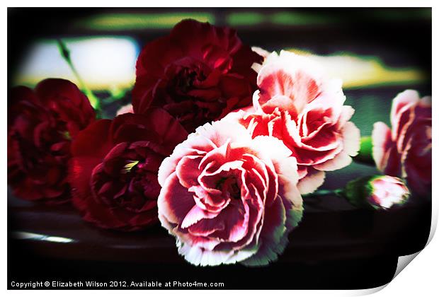 Lomo Carnations Print by Elizabeth Wilson-Stephen
