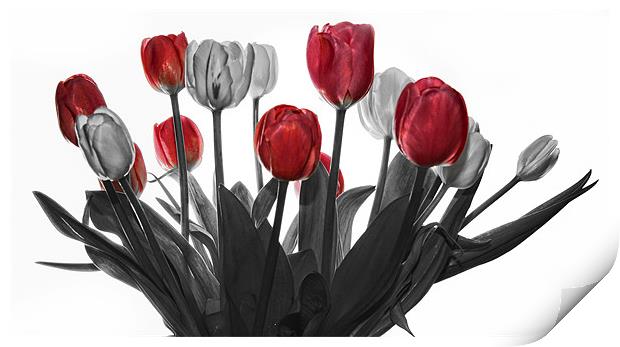 Tulips Print by Jennie Franklin