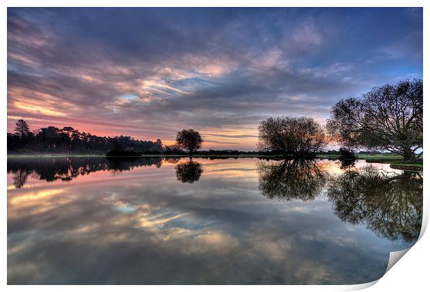  End of sunrise at the pond Print by Jennie Franklin