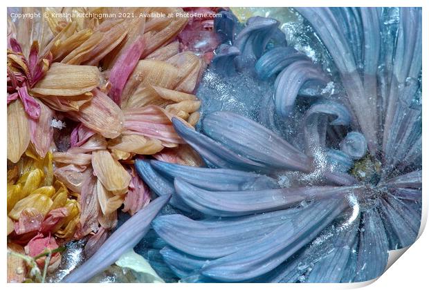 Blue Swirl Print by Kristina Kitchingman