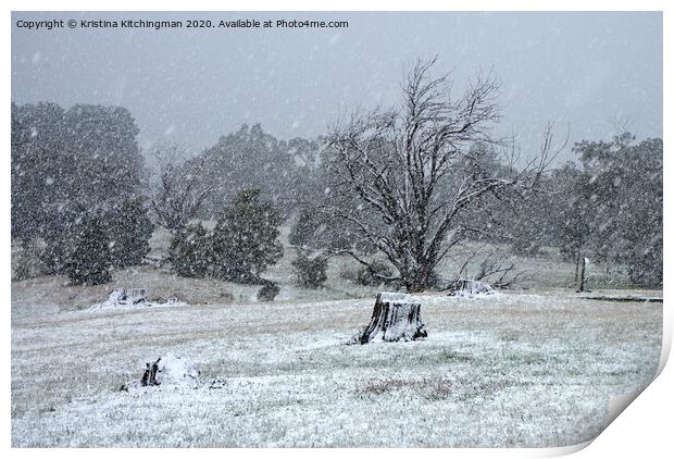 Snowing over the falls reserve Print by Kristina Kitchingman