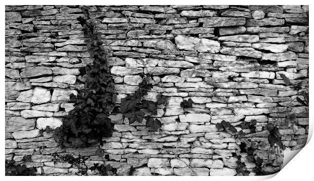 Gloucestershire Drystone Wall Print by Brian Sharland