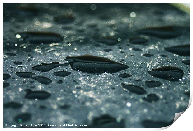 Water Drops Print by Liam Ellis