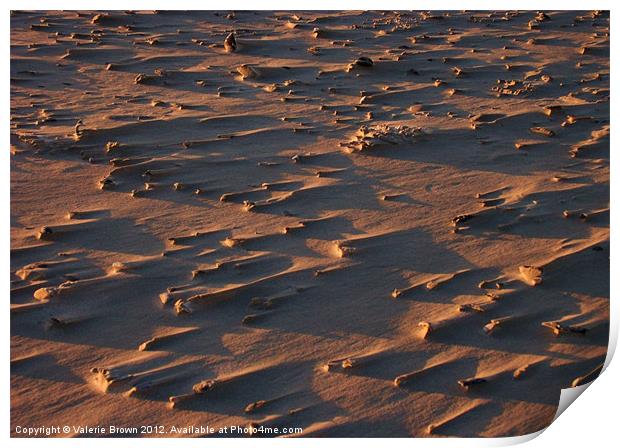 Pebbles in the sand Print by Valerie Brown