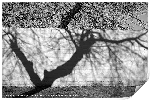 tree shadow on concrete wall Print by Alfani Photography