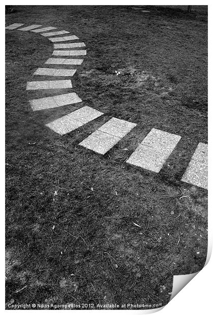 curved pathway on grass Print by Alfani Photography