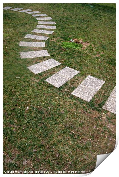 curved pathway on grass Print by Alfani Photography