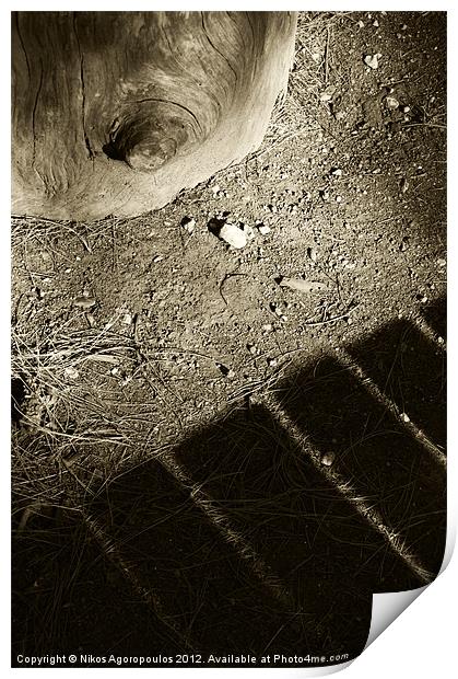 tree trunk and bench shadow Print by Alfani Photography