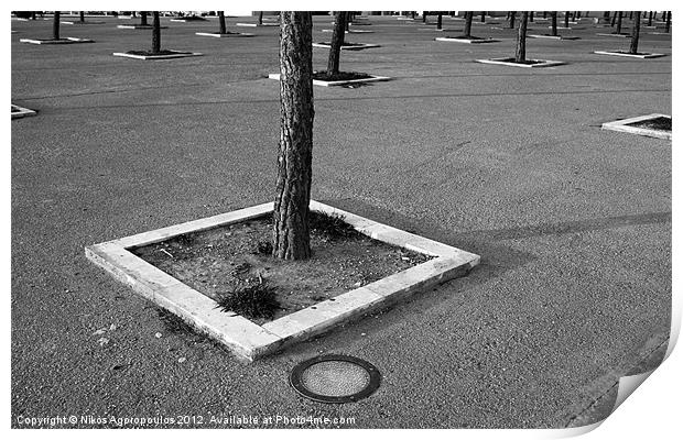 Trees chessboard Print by Alfani Photography
