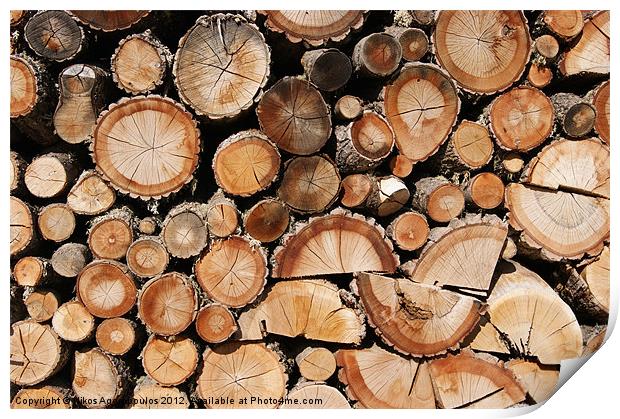 Logs stock Print by Alfani Photography