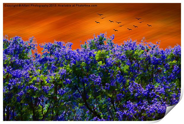 Purple-blue forest Print by Alfani Photography