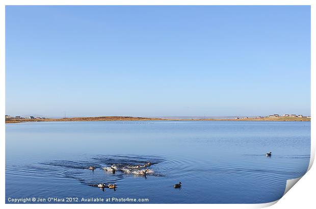 CALM LOCH OBSERVATIONS 18 Print by Jon O'Hara