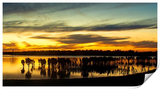 Mangrove sunset at Tooradin Print by Matthew Burniston