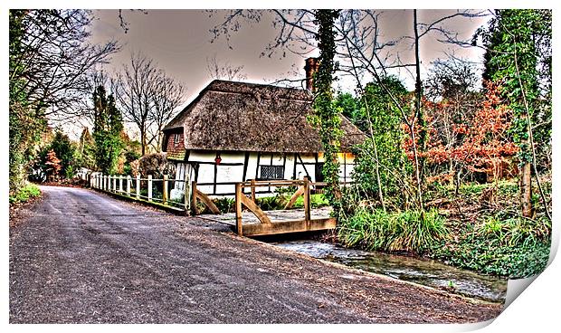 Thatched Cottage Kent Print by David Shackle
