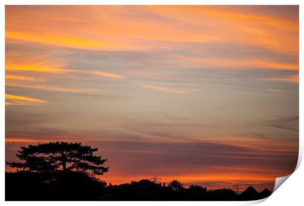 Sunset From My Window Print by David Shackle