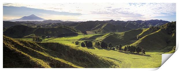 The hills of Hobbiton Print by Keith Thorne