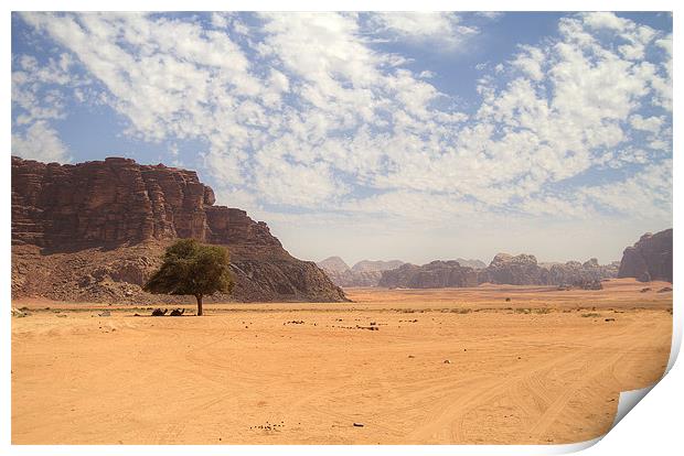 Desert Sky Print by Keith Thorne