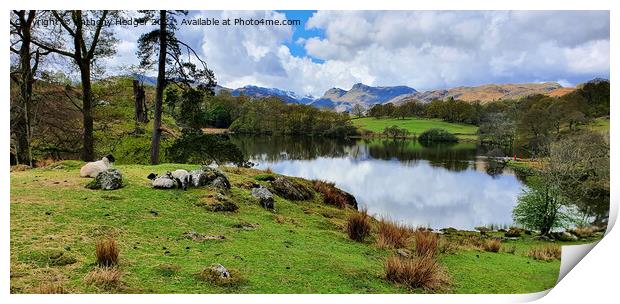  Loughrigg Tarn Print by Anthony Hedger