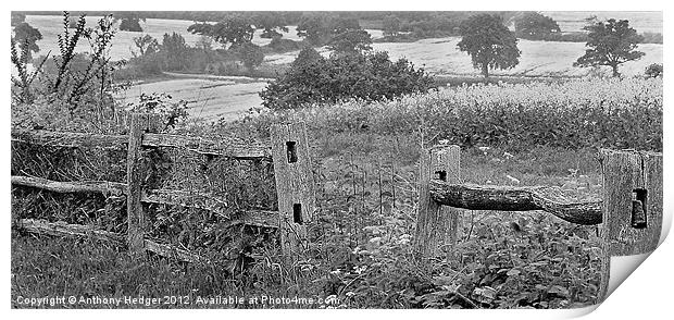 The Old Fence Print by Anthony Hedger
