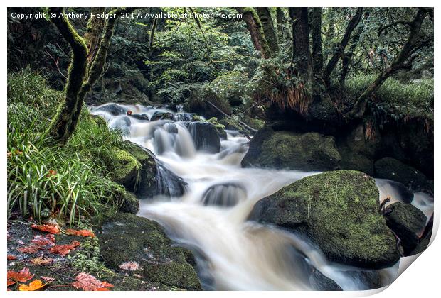 Golitha Falls Print by Anthony Hedger