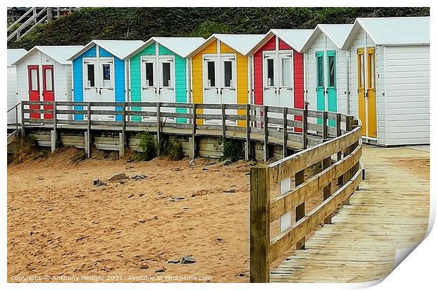 Colourful beach huts Print by Anthony Hedger