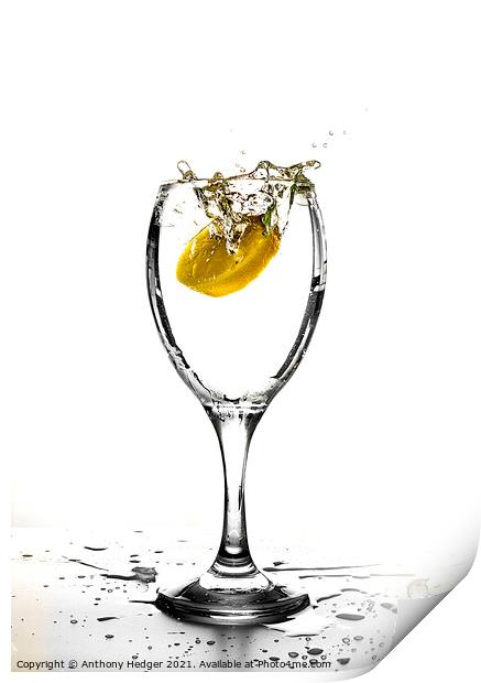 Lemon splash Print by Anthony Hedger
