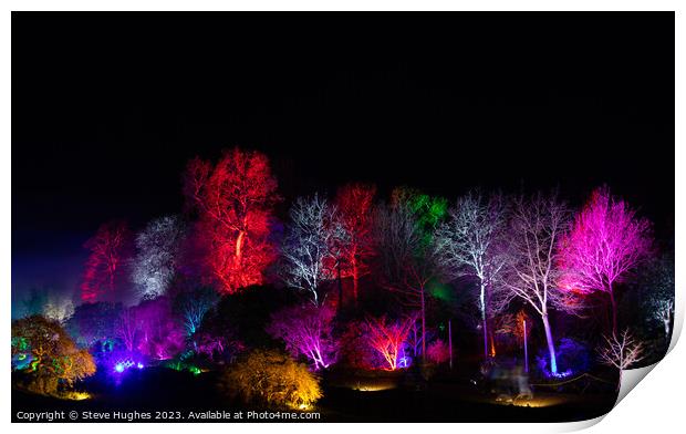 Colourful trees at night Print by Steve Hughes