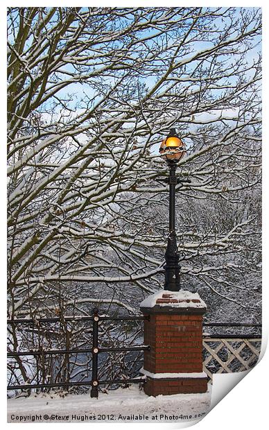 Snowy Lamp Basingstoke Canal Woking Print by Steve Hughes