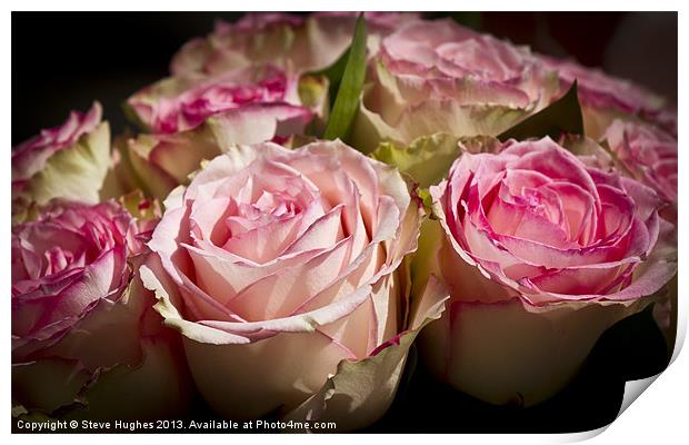 Rose Wedding Bouquet Print by Steve Hughes
