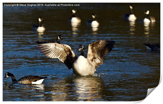 Splashing Around Print by Steve Hughes