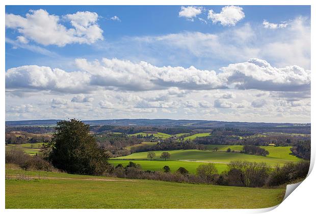 Spring views from Newlands Corner. Print by Steve Hughes