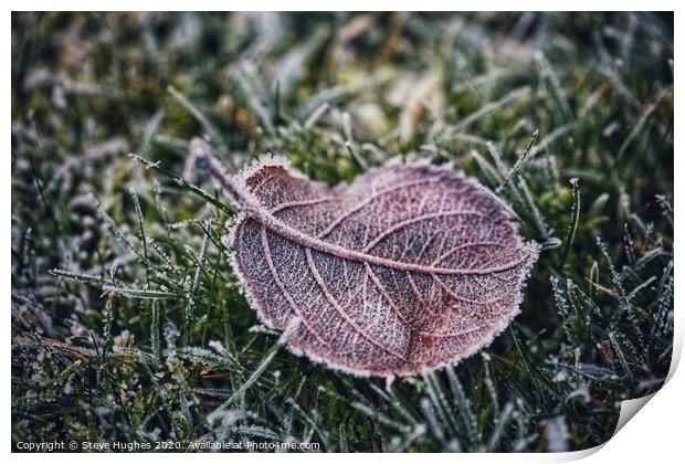 Frozen in time Print by Steve Hughes