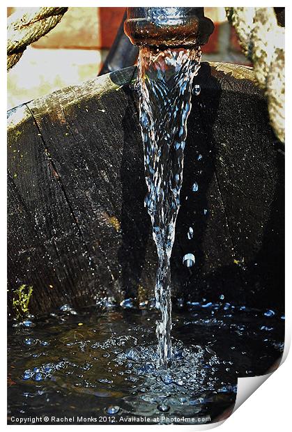Water Feature Print by Rachel Monks