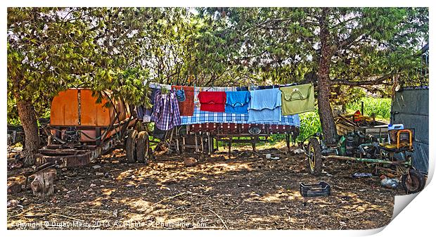 Farmyard washing Line Print by Digby Merry