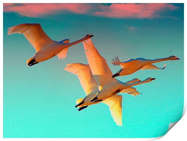  Flying into the sunset Print by Alan Mattison