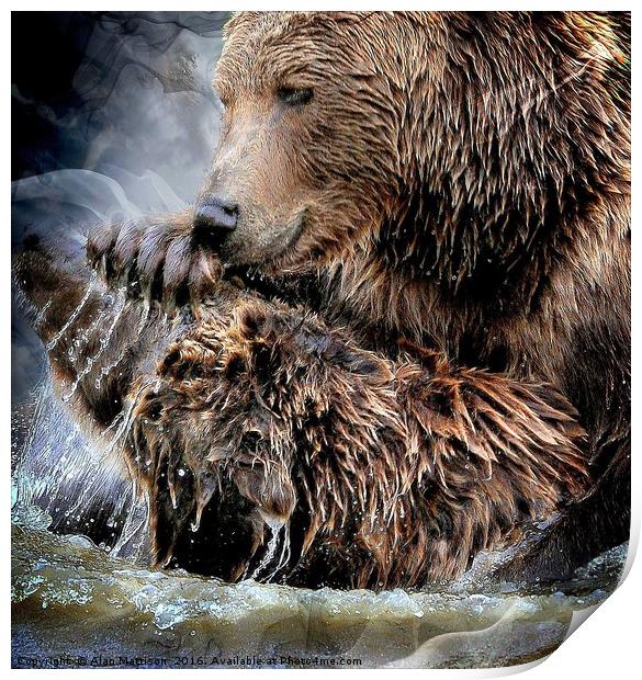 How much can you bear? Print by Alan Mattison
