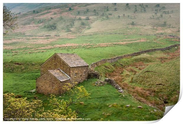 Edale Valley Farm Buildings Print by Philip Baines