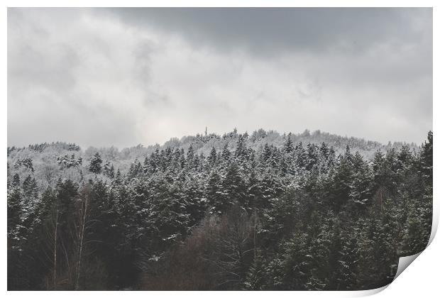 Frozen Forest - Zwyec Winter #6 Print by Henry Clayton