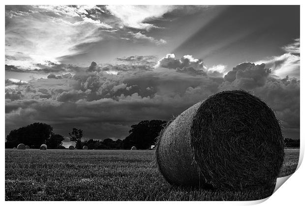 Harvest time Print by Paul Holman Photography